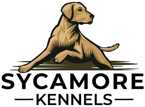 Sycamore Kennels