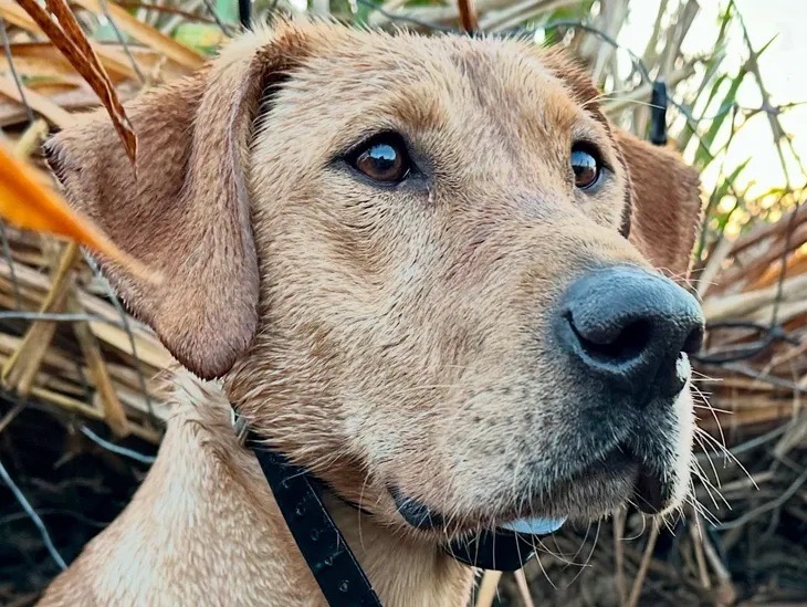 Lab working in the field